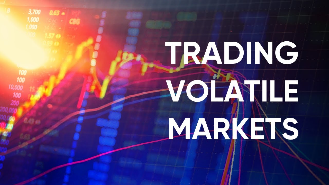 Beyond the Charts: Decoding Value in a Volatile Market